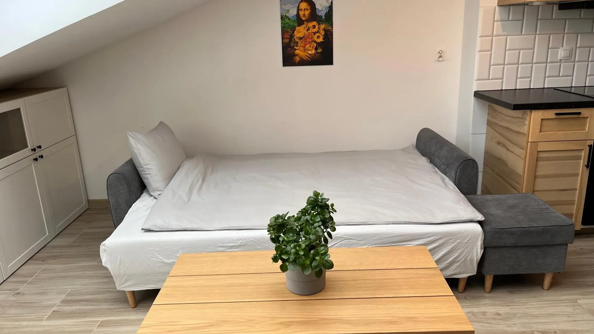 Feelhome Apartment With Kitchen Krakow 0*,  Poland